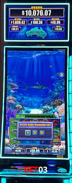 Melhor Casino Online bet03